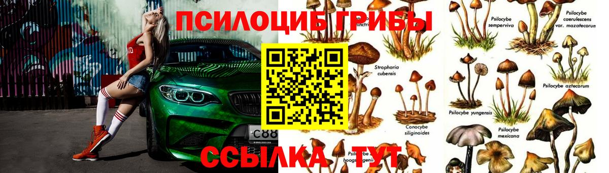 Галлюциногенные грибы GOLDEN TEACHER Валуйки